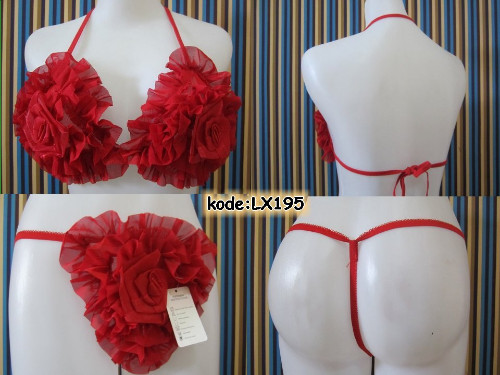 lingerie-bikini (LX195) image 1